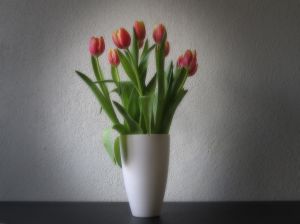 714601_tulips